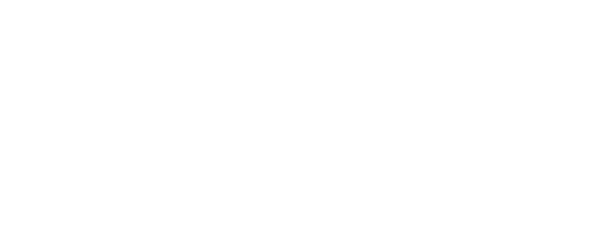 Health Big Data